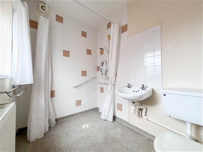 Picture 7